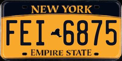 NY license plate FEI6875