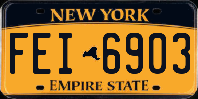 NY license plate FEI6903