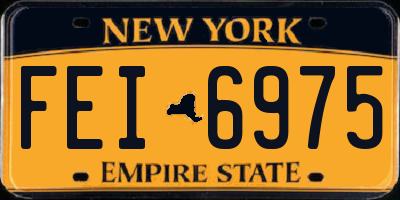 NY license plate FEI6975