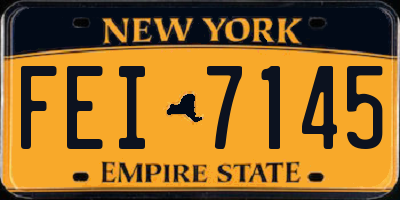 NY license plate FEI7145