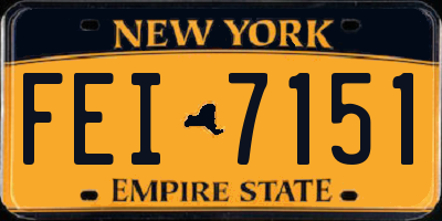 NY license plate FEI7151
