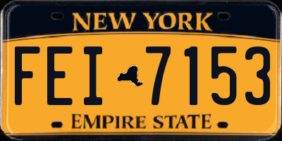 NY license plate FEI7153