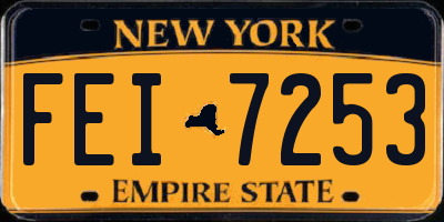 NY license plate FEI7253