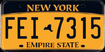 NY license plate FEI7315