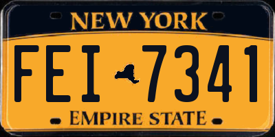 NY license plate FEI7341