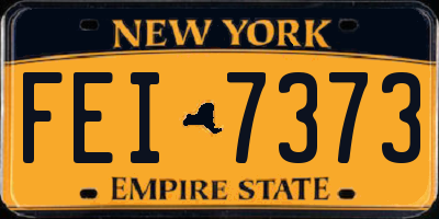 NY license plate FEI7373
