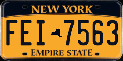 NY license plate FEI7563