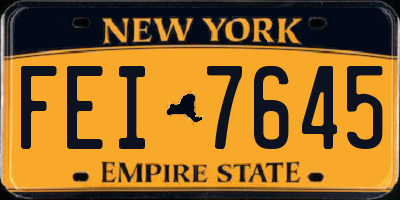 NY license plate FEI7645