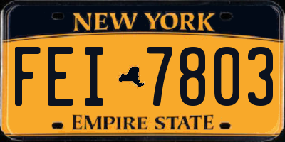 NY license plate FEI7803