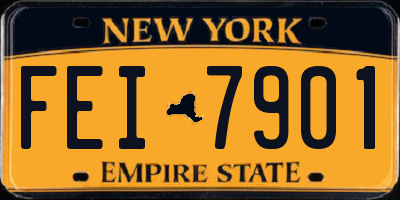 NY license plate FEI7901