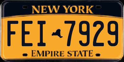NY license plate FEI7929