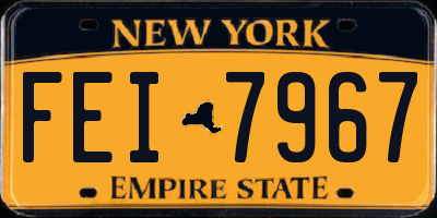 NY license plate FEI7967