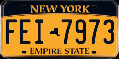 NY license plate FEI7973