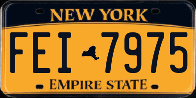 NY license plate FEI7975