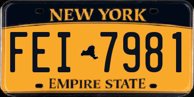 NY license plate FEI7981