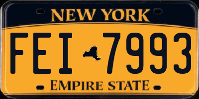 NY license plate FEI7993