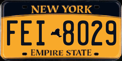NY license plate FEI8029