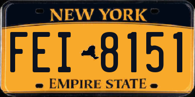 NY license plate FEI8151