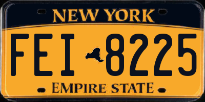 NY license plate FEI8225