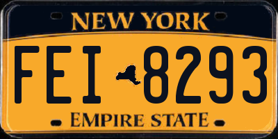 NY license plate FEI8293