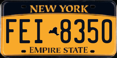 NY license plate FEI8350