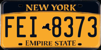 NY license plate FEI8373
