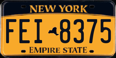 NY license plate FEI8375