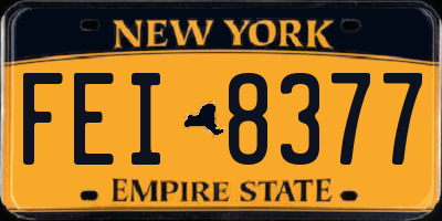 NY license plate FEI8377