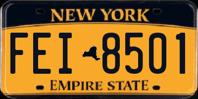 NY license plate FEI8501