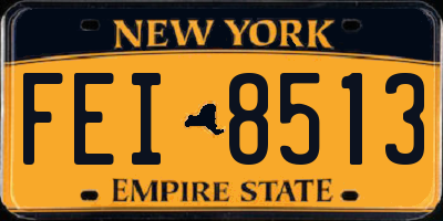 NY license plate FEI8513