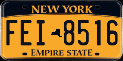 NY license plate FEI8516