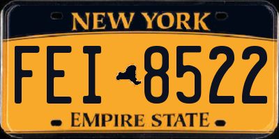 NY license plate FEI8522