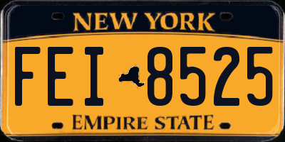 NY license plate FEI8525