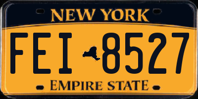 NY license plate FEI8527