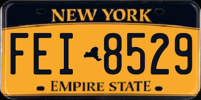 NY license plate FEI8529