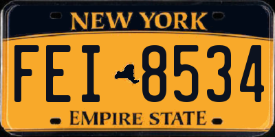 NY license plate FEI8534