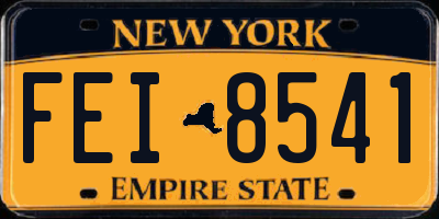 NY license plate FEI8541