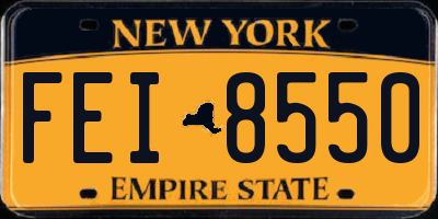 NY license plate FEI8550