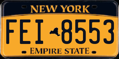 NY license plate FEI8553