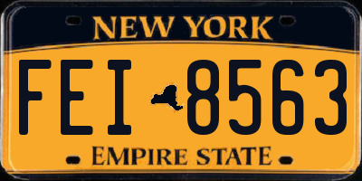NY license plate FEI8563