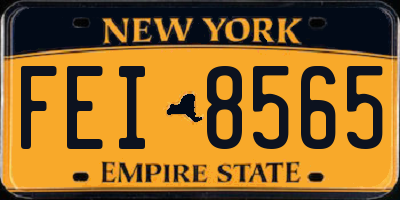 NY license plate FEI8565