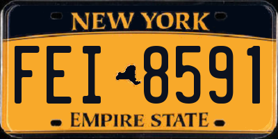 NY license plate FEI8591