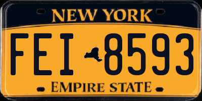 NY license plate FEI8593