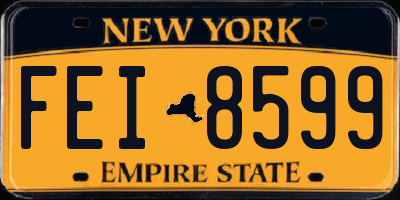 NY license plate FEI8599