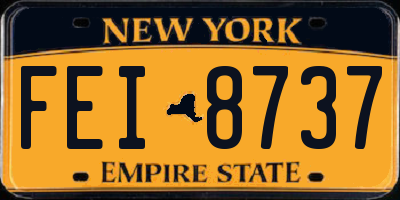 NY license plate FEI8737