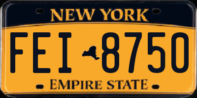 NY license plate FEI8750