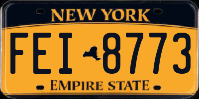 NY license plate FEI8773