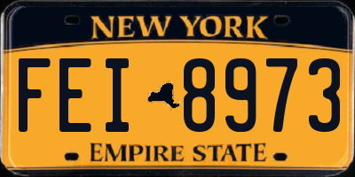 NY license plate FEI8973