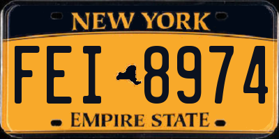 NY license plate FEI8974