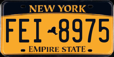 NY license plate FEI8975